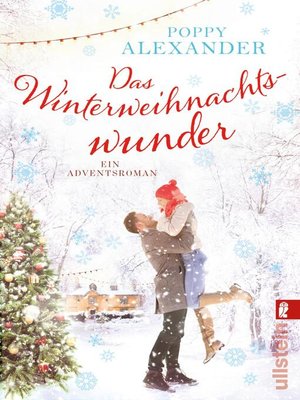 cover image of Das Winterweihnachtswunder